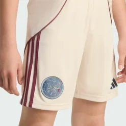 adidas · Ajax 25/26 Ausweichshorts