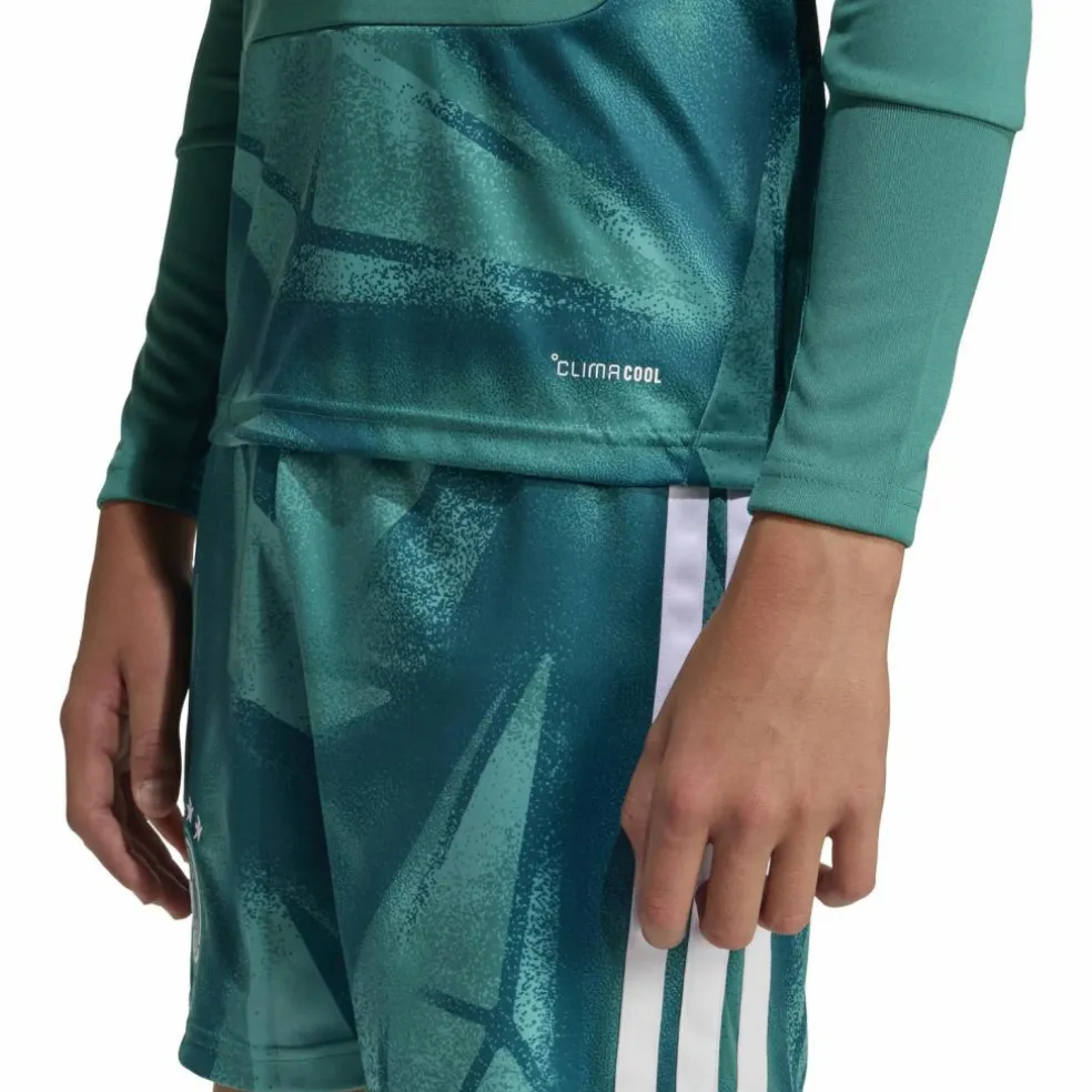 adidas · DFB WM 2026 Heim