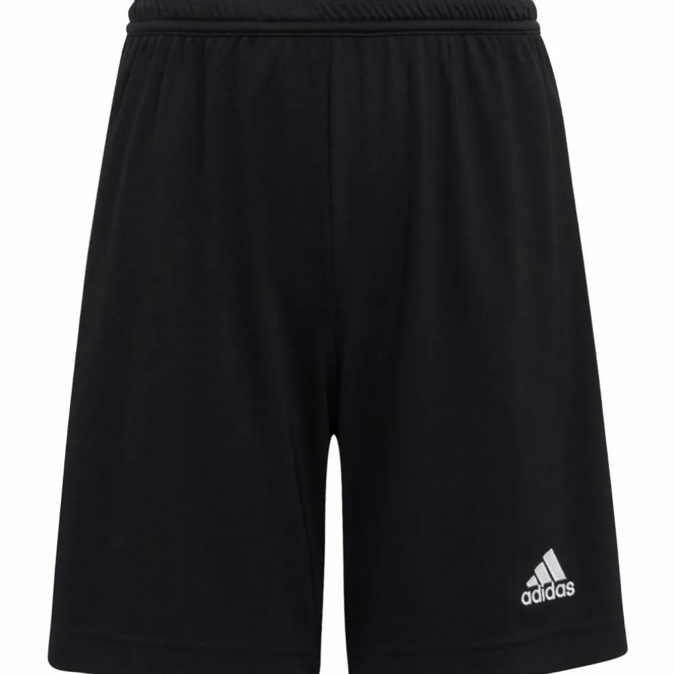 adidas · Entrada22