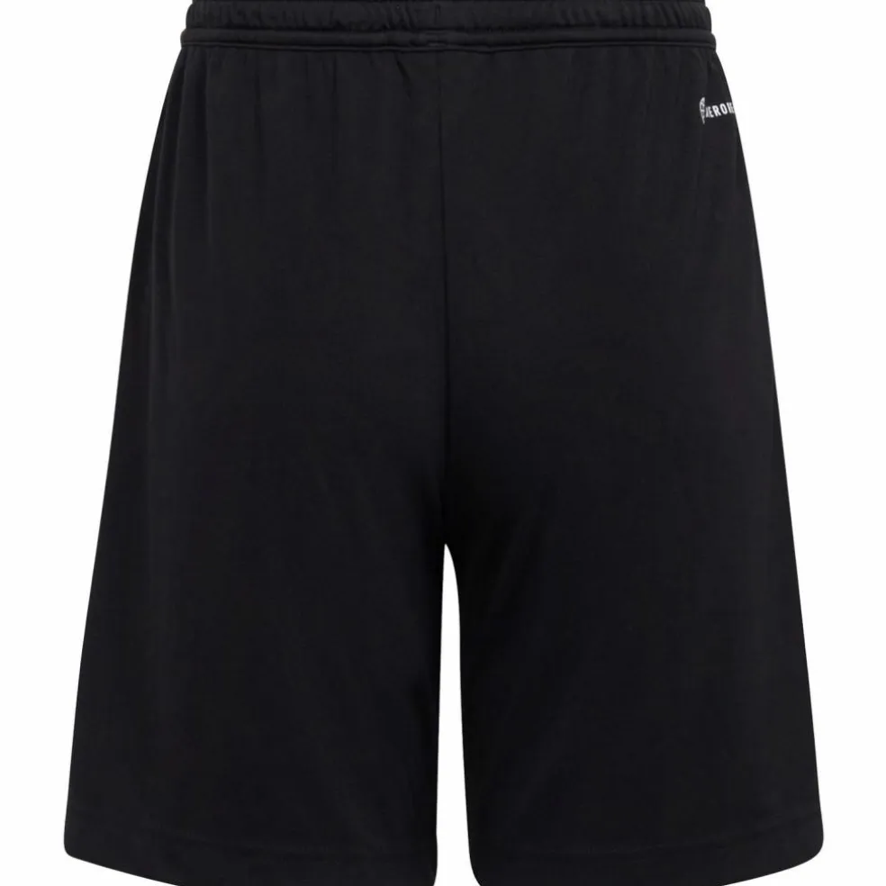 adidas · Entrada22