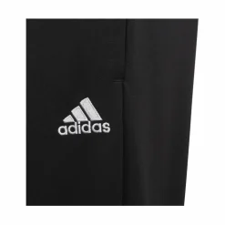 adidas · Entrada22