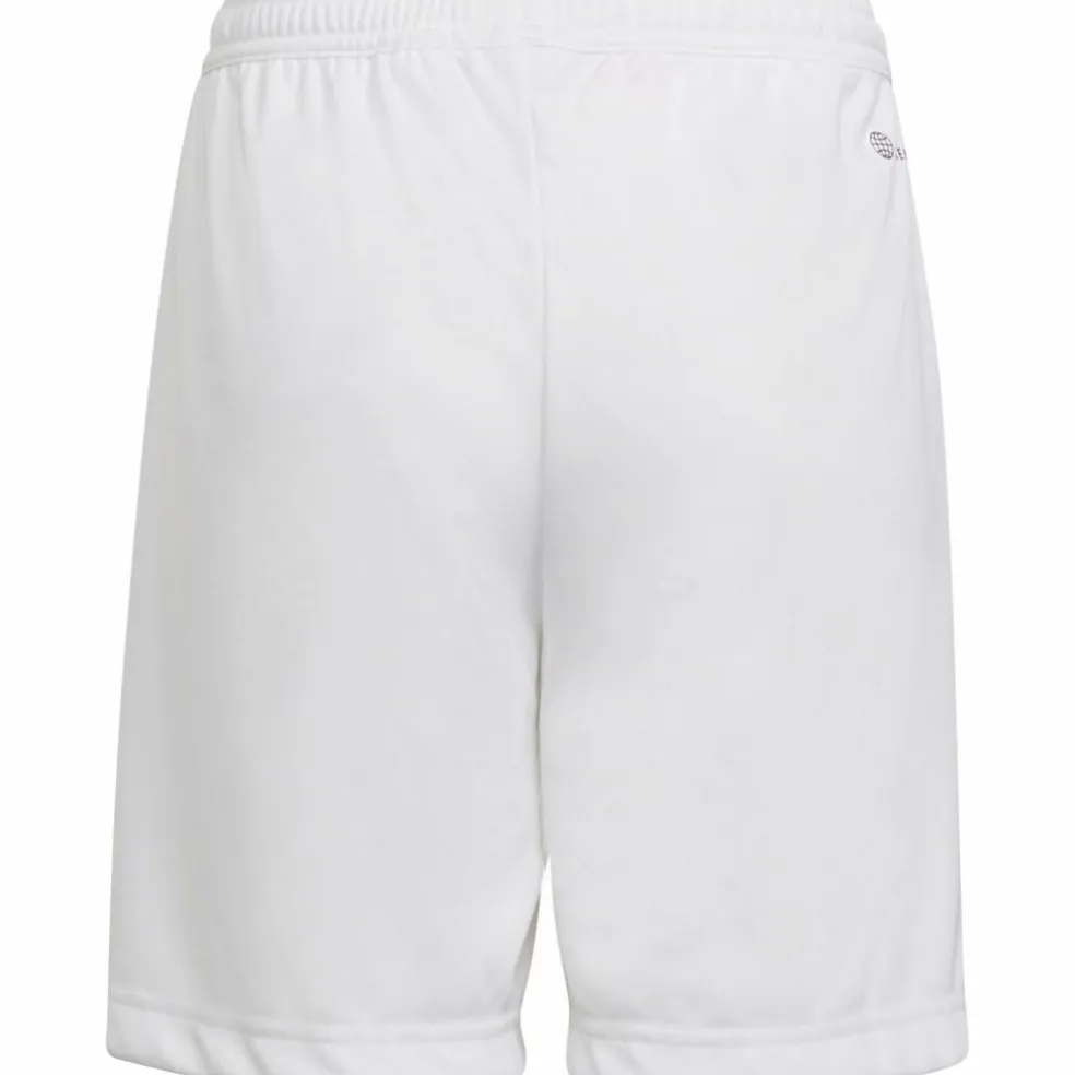 adidas · Entrada22