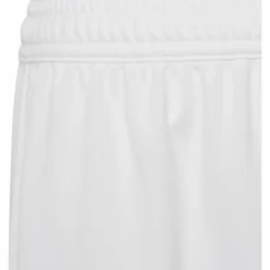 adidas · Entrada22