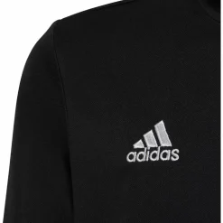 adidas · Entrada22