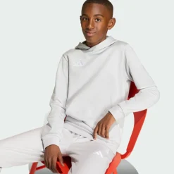 adidas · Entrada26 Kids Hoodie