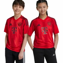 adidas · FC Bayern München 24/25 Heim