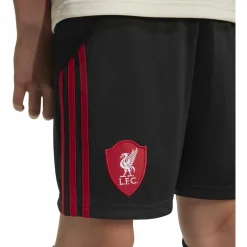 adidas · FC Liverpool 25-26 auswärts