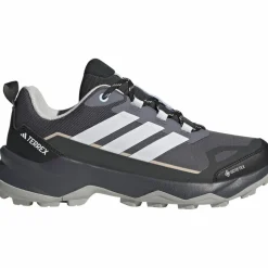 adidas · GTX TERREX SKYCHASER AX5