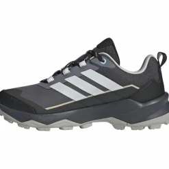 adidas · GTX TERREX SKYCHASER AX5