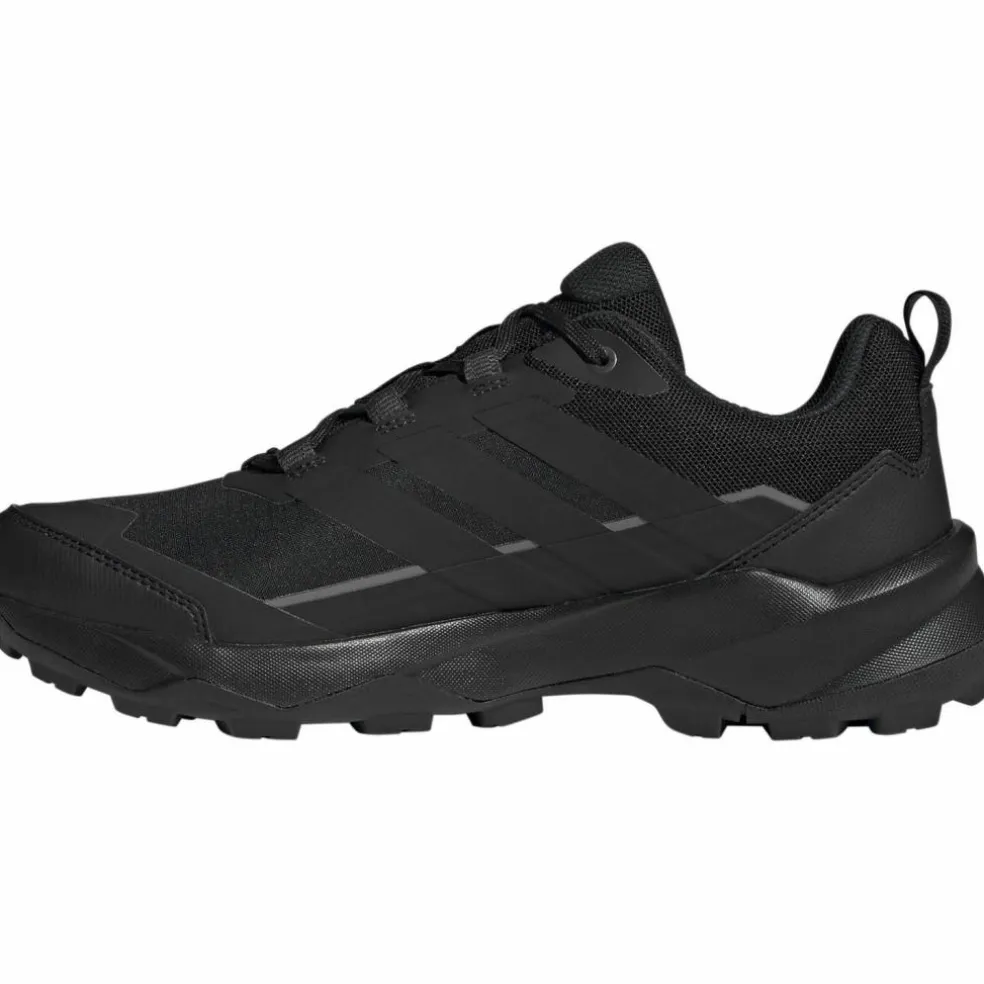 adidas · GTX TERREX SKYCHASER AX5