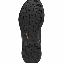 adidas · GTX TERREX SKYCHASER AX5