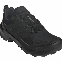 adidas · GTX TERREX SKYCHASER AX5