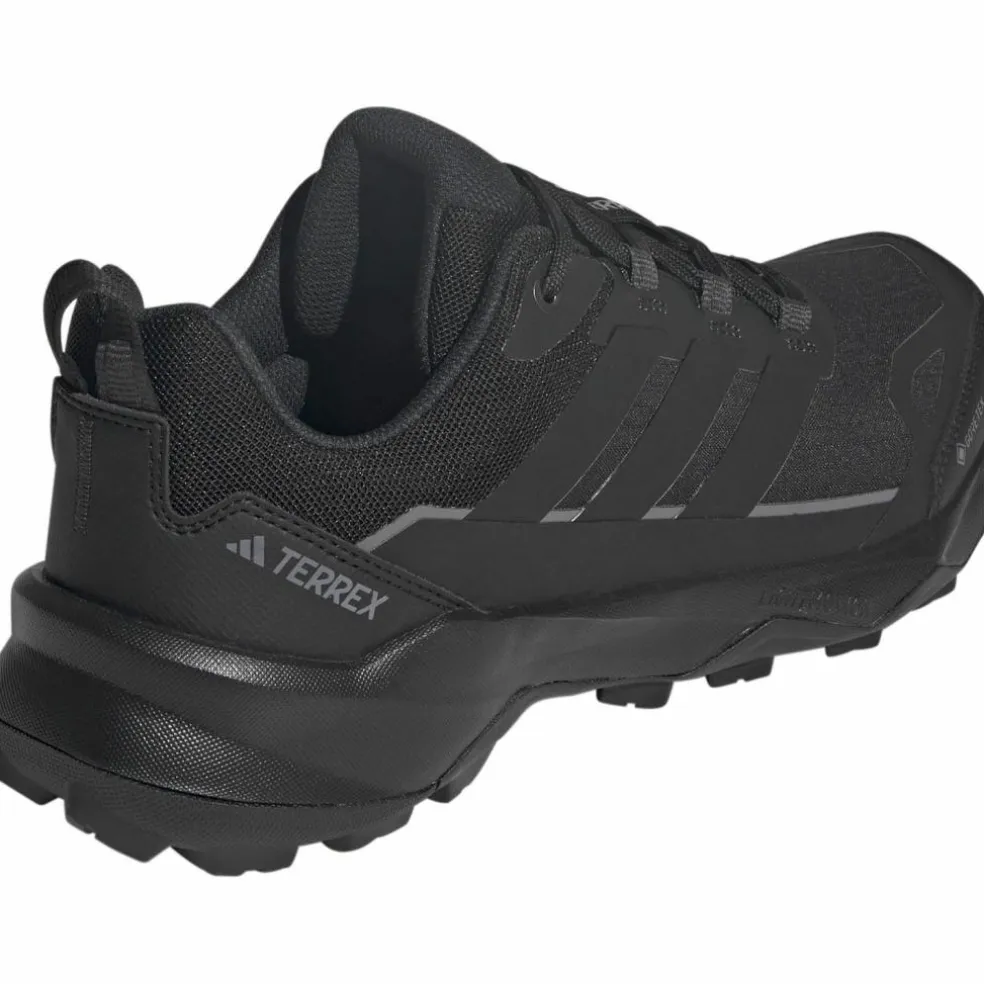 adidas · GTX TERREX SKYCHASER AX5