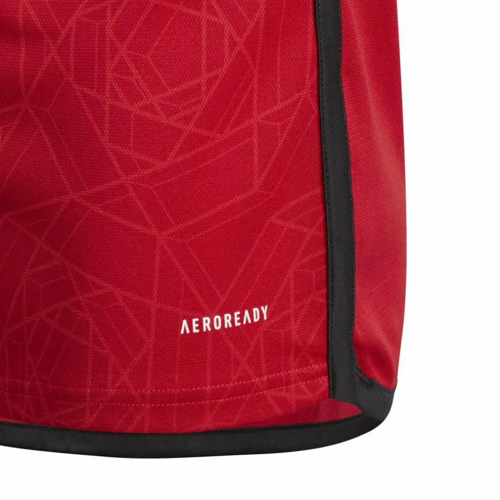 adidas · Manchester United 23/24 Heim