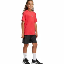 adidas · NXT