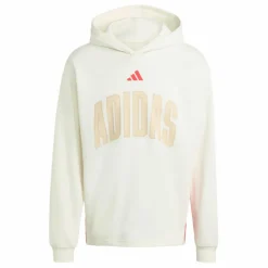 adidas · STADIUM GRAPHIC HOODIE.
