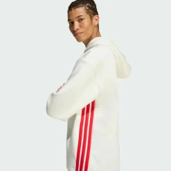 adidas · STADIUM GRAPHIC HOODIE.