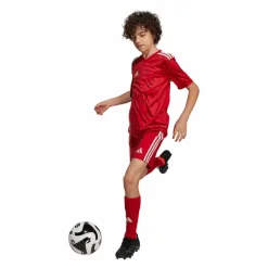 adidas · Team Icon 25 Trikot Kids