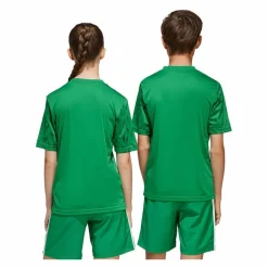 adidas · Team Icon 25 Trikot Kids