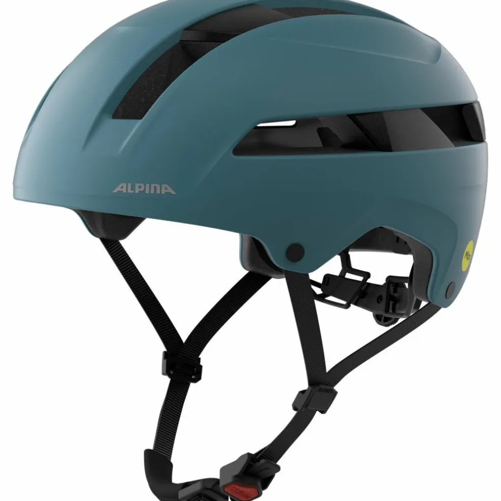 ALPINA · BLOOM MIPS