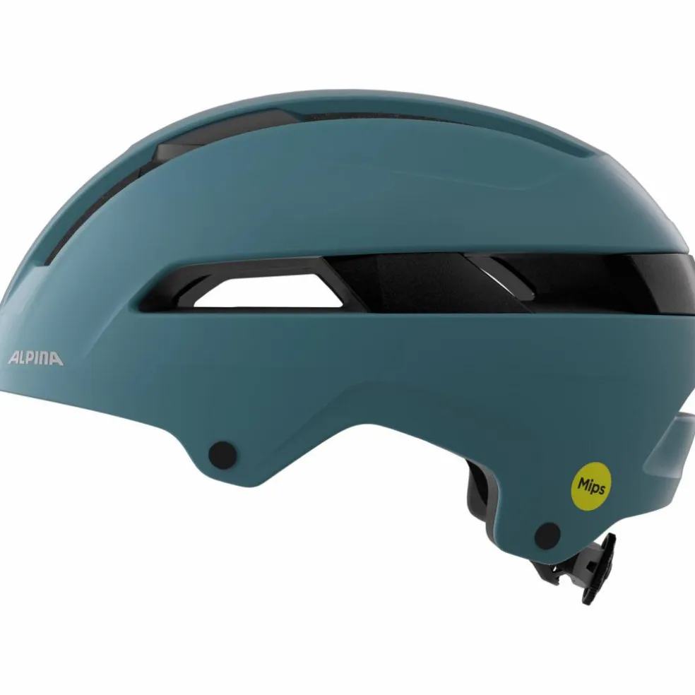 ALPINA · BLOOM MIPS