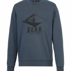 BEAR · Surf