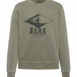 BEAR · Surf