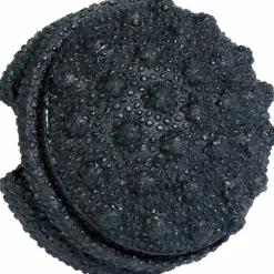 BLACKROLL · Twister