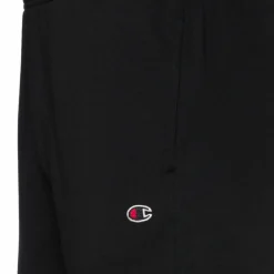 CHAMPION