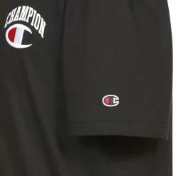 CHAMPION