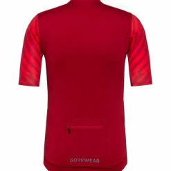 GOREWEAR · SWIFTRIDE Optical