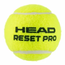 HEAD · Reset Pro