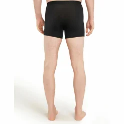 Icebreaker · 125 Cool-Lite Anatomica
