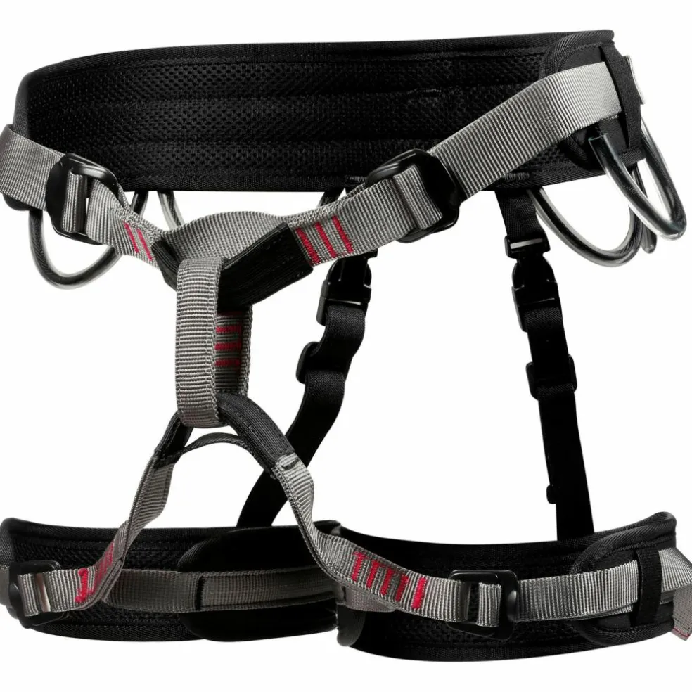 LACD · Harness Start