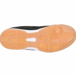 LICO · Hallenschuh