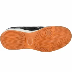 LICO · Hallenschuh