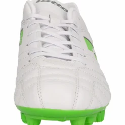 Lotto · Stadio 705