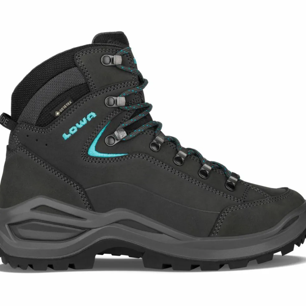 Lowa · GTX RENEGADE EVO MID