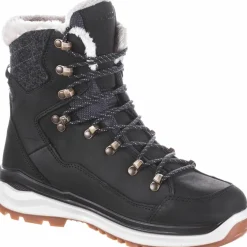 Lowa · GTX RENEGADE EVO ICE 2