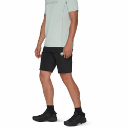 Mammut