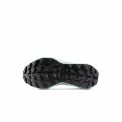 Mammut