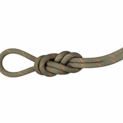 Mammut · 9.9 Gym Workhorse Classic Rope