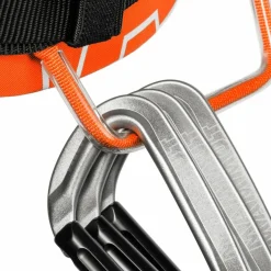 Mammut · 4 Slide