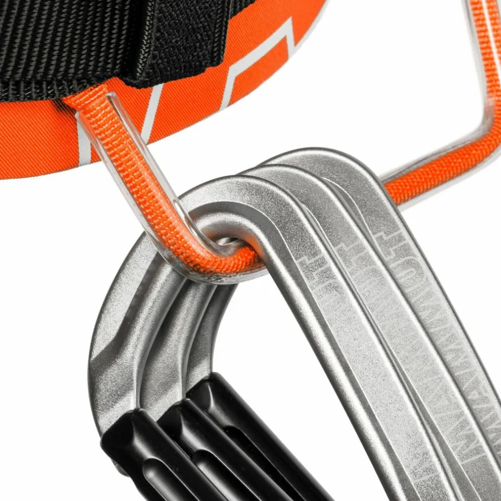 Mammut · 4 Slide