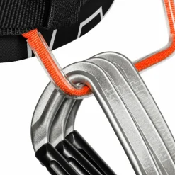 Mammut · 4 Slide