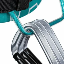 Mammut · 4 Slide