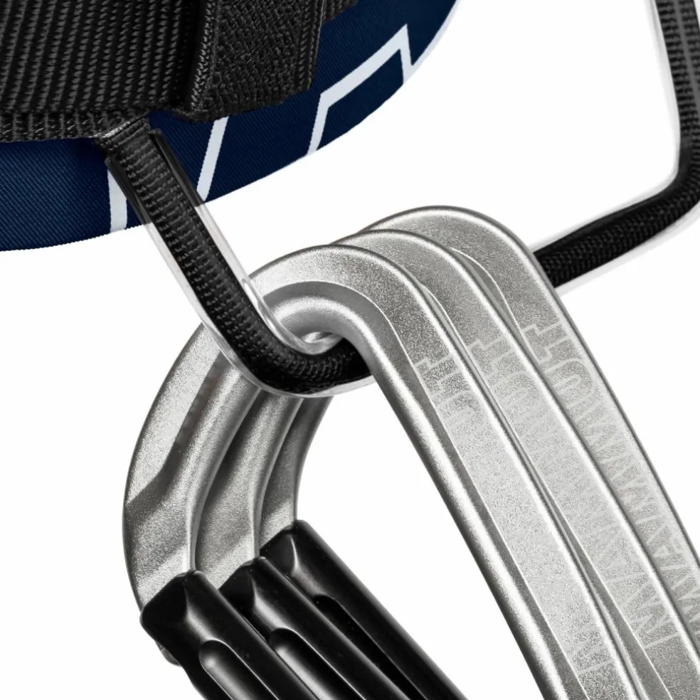 Mammut · 4 Slide