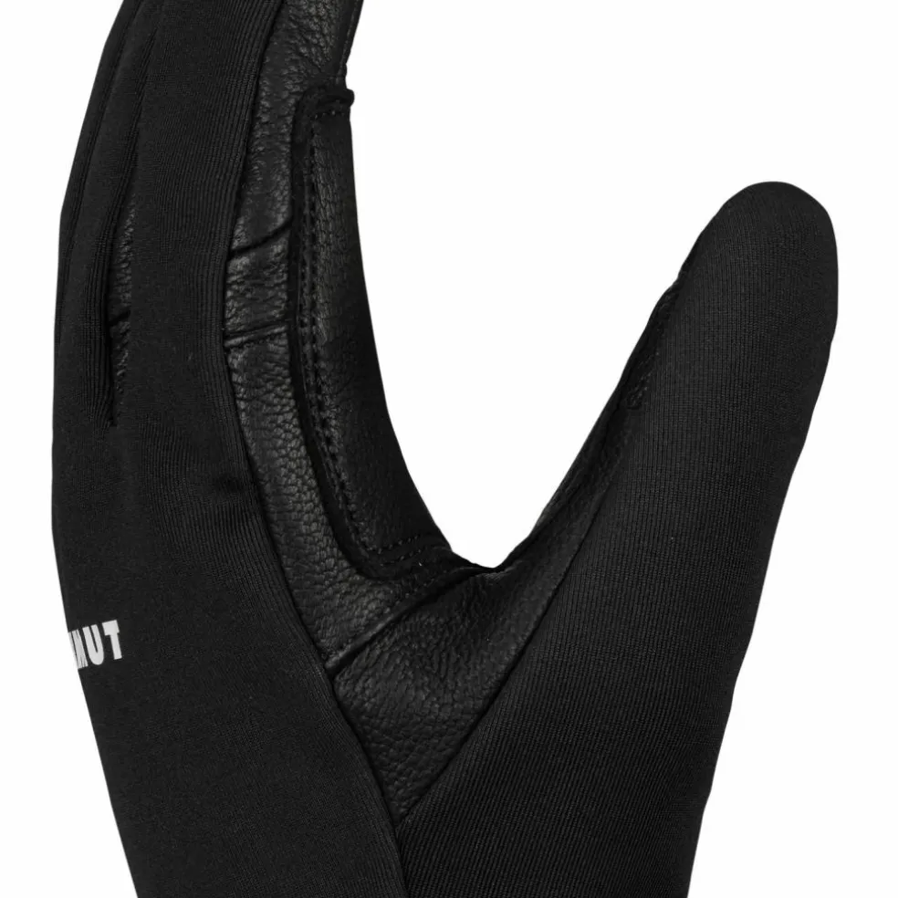 Mammut · Astro Guide SO