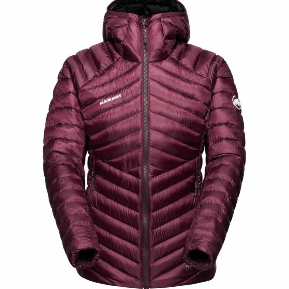 Mammut · Broad