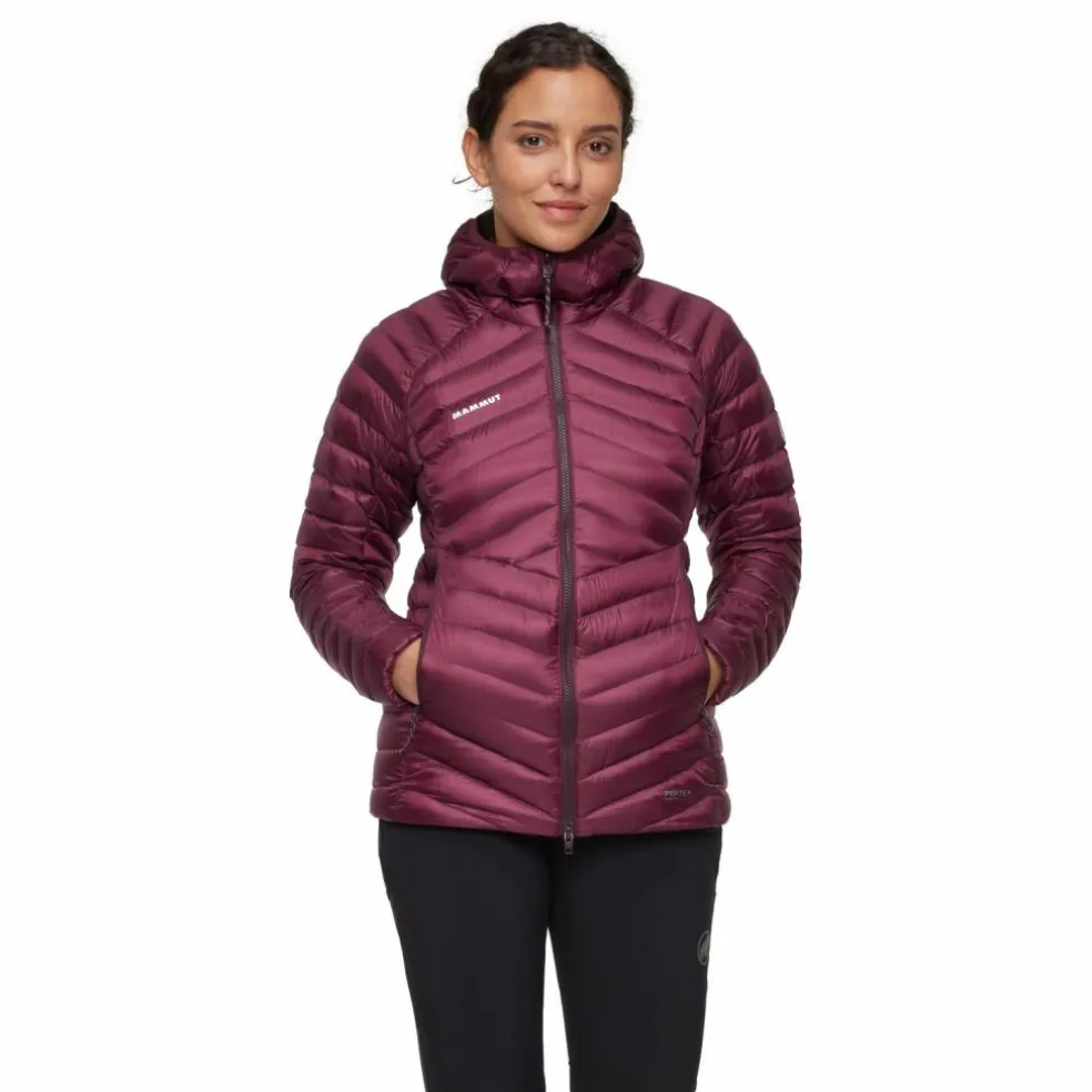 Mammut · Broad